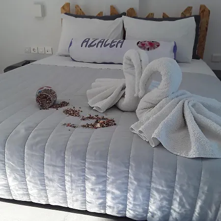 Hotel Azalea 2*