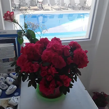 Hotel Azalea Kamari (Santorini)