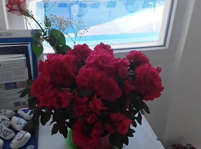 酒店 杜鹃花酒店 Kamári