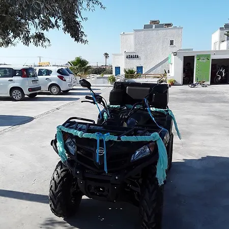 أزاليا فندق